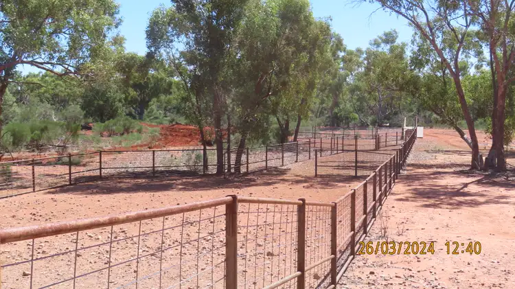 Seventh view of Homely rural property listing, * Kerrigundi Creek, Louth NSW 2840