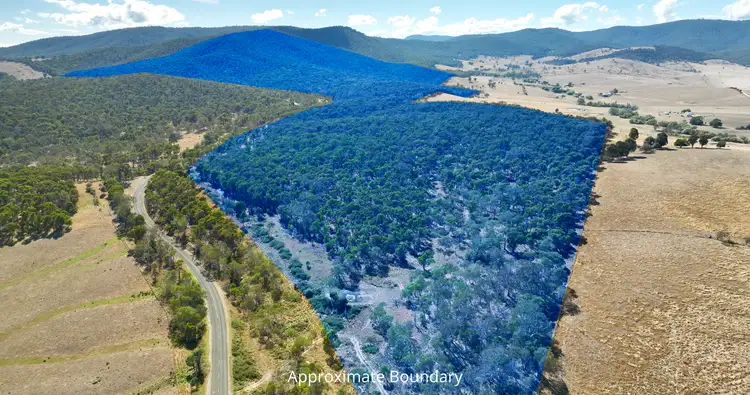 Main view of Homely rural property listing, 1008 Limestone Road, Benambra VIC 3900
