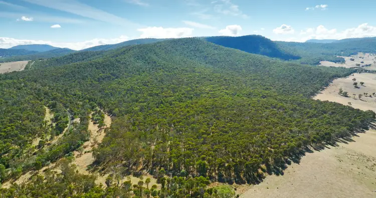 Third view of Homely rural property listing, 1008 Limestone Road, Benambra VIC 3900