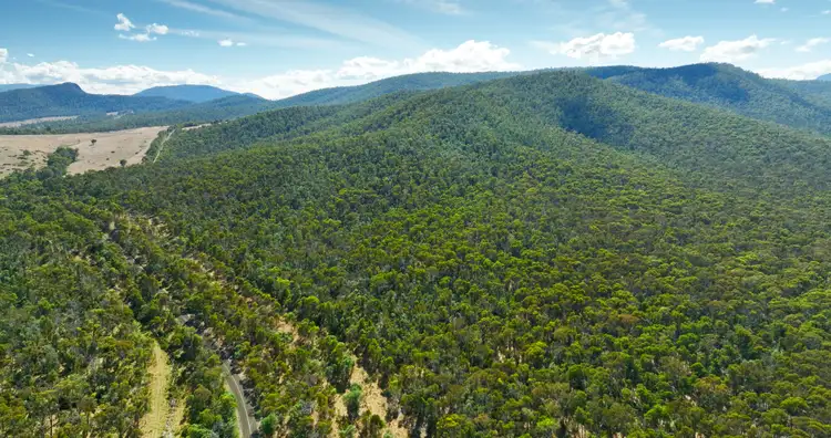 Fifth view of Homely rural property listing, 1008 Limestone Road, Benambra VIC 3900