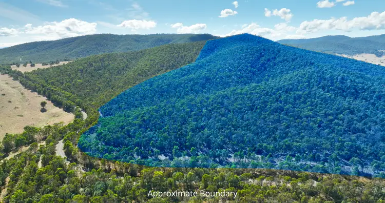 Sixth view of Homely rural property listing, 1008 Limestone Road, Benambra VIC 3900