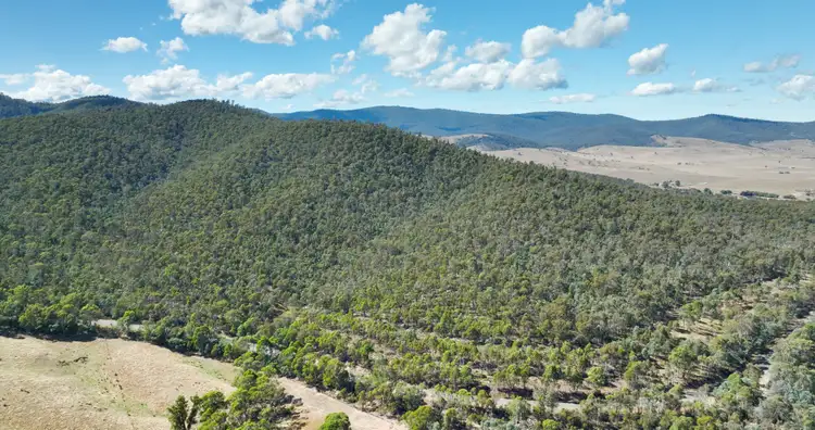 Seventh view of Homely rural property listing, 1008 Limestone Road, Benambra VIC 3900