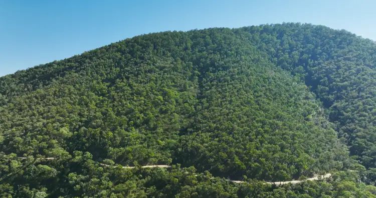 Fourth view of Homely rural property listing, CA 9 Sec 20 Wonnangatta Road, Dargo VIC 3862