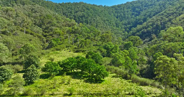 Fifth view of Homely rural property listing, CA 9 Sec 20 Wonnangatta Road, Dargo VIC 3862