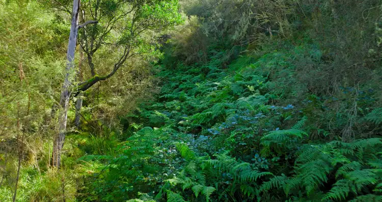 Seventh view of Homely rural property listing, CA 9 Sec 20 Wonnangatta Road, Dargo VIC 3862