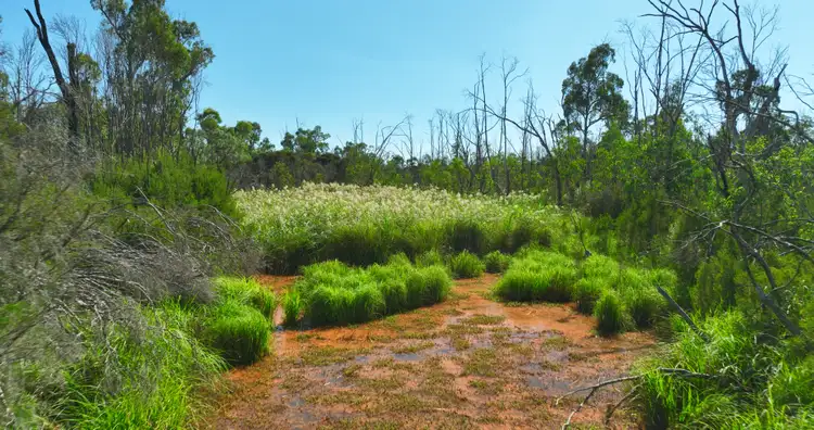 Seventh view of Homely rural property listing, 22 Canni Road, Buchan South VIC 3885