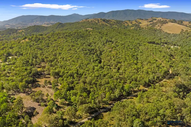 Second view of Homely rural property listing, 75 Yellow Box Ridge Road, Acheron VIC 3714