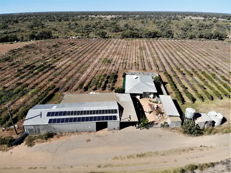 Third view of Homely rural property listing, Lot 48 Menindee /Wilcannia Road, Menindee NSW 2879