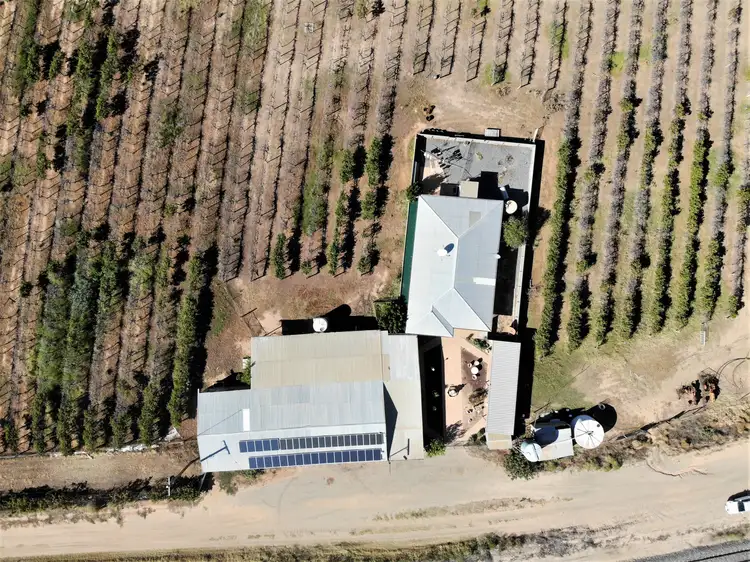Fourth view of Homely rural property listing, Lot 48 Menindee /Wilcannia Road, Menindee NSW 2879