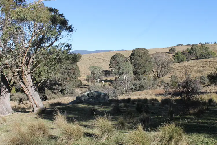 Fifth view of Homely rural property listing, 417 Palour Creek Road, Harolds Cross NSW 2622