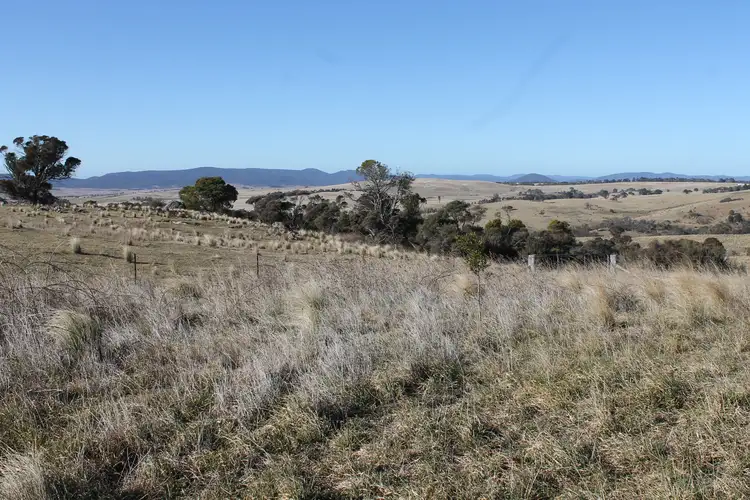 Seventh view of Homely rural property listing, 417 Palour Creek Road, Harolds Cross NSW 2622
