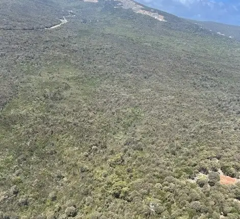 Third view of Homely rural property listing, PID 6431530 Thunder & Lightning Road, Cape Barren Island TAS 7257