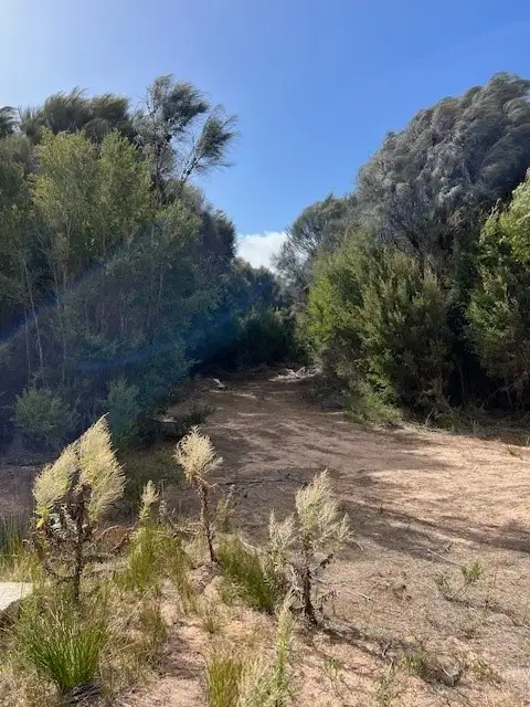 Seventh view of Homely rural property listing, PID 6431530 Thunder & Lightning Road, Cape Barren Island TAS 7257