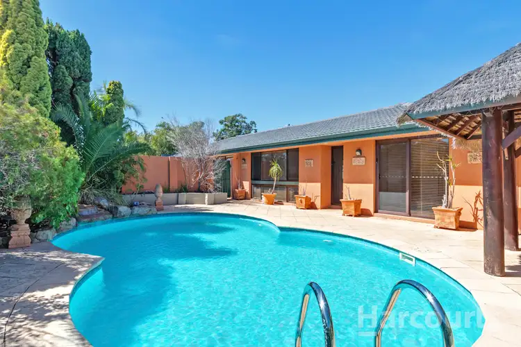Main view of Homely house listing, 241 Camberwarra Drive, Craigie WA 6025
