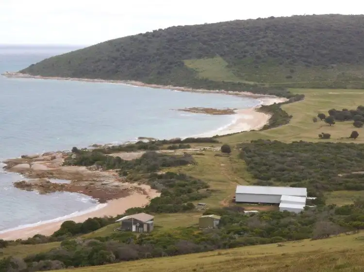 Main view of Homely rural property listing, . Prime Seal Island (Bass Strait), Whitemark TAS 7255
