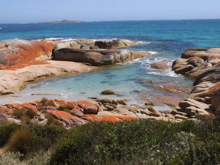 Seventh view of Homely rural property listing, . Prime Seal Island (Bass Strait), Whitemark TAS 7255