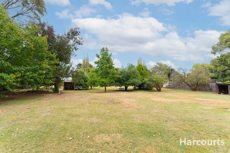 Third view of Homely house listing, 14 Grigg Street, Deloraine TAS 7304