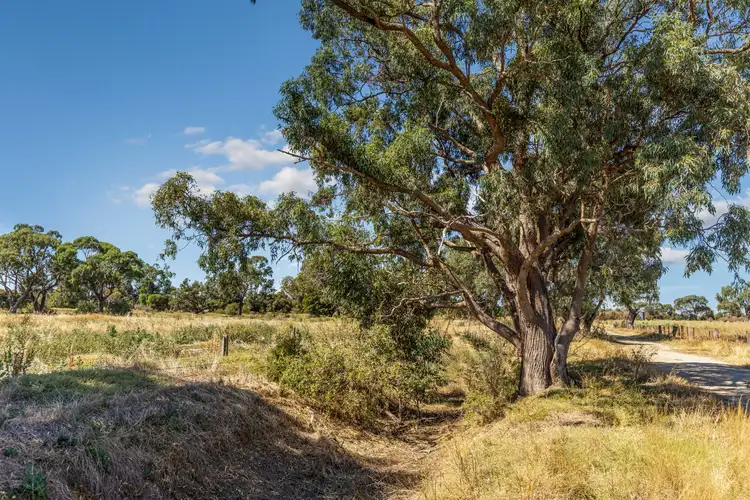 Fourth view of Homely land listing, 165 Randalls Road, Leitchville VIC 3567