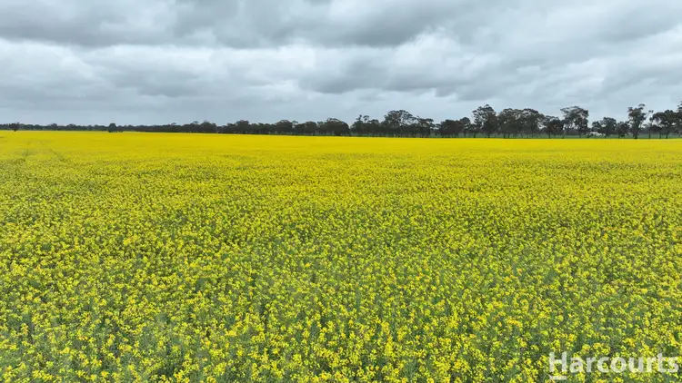 Second view of Homely rural property listing, Lot 2/1878 Northern Grampians Road, Laharum VIC 3401