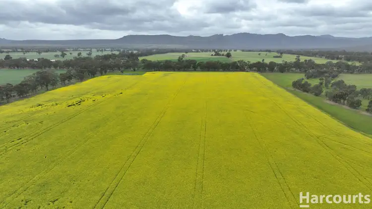 Fifth view of Homely rural property listing, Lot 2/1878 Northern Grampians Road, Laharum VIC 3401
