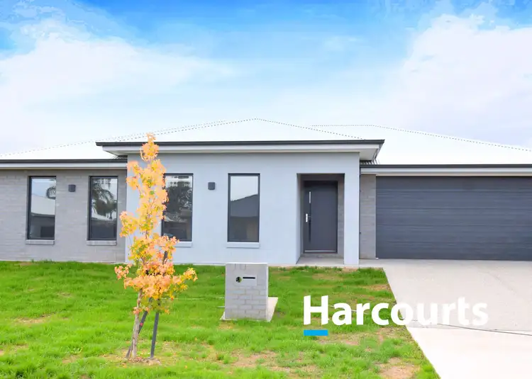 Main view of Homely house listing, 11 Bowerbird Way, Wangaratta VIC 3677