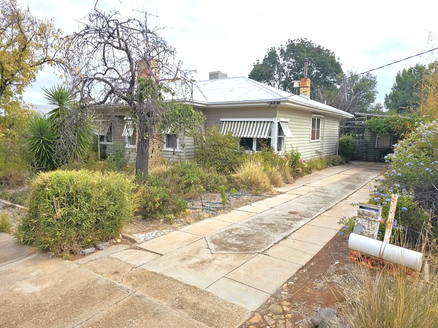 Main view of Homely house listing, 12 Chapel St, Wycheproof VIC 3527