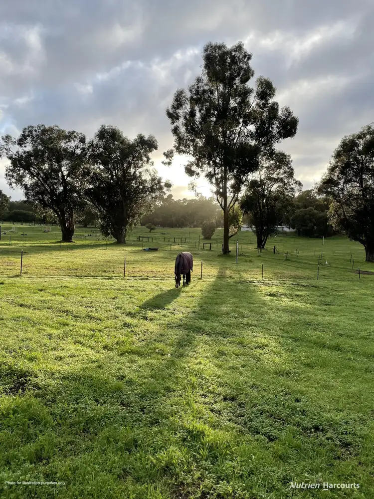 Second view of Homely rural property listing, 38 Elizabeth Place, Karragullen WA 6111