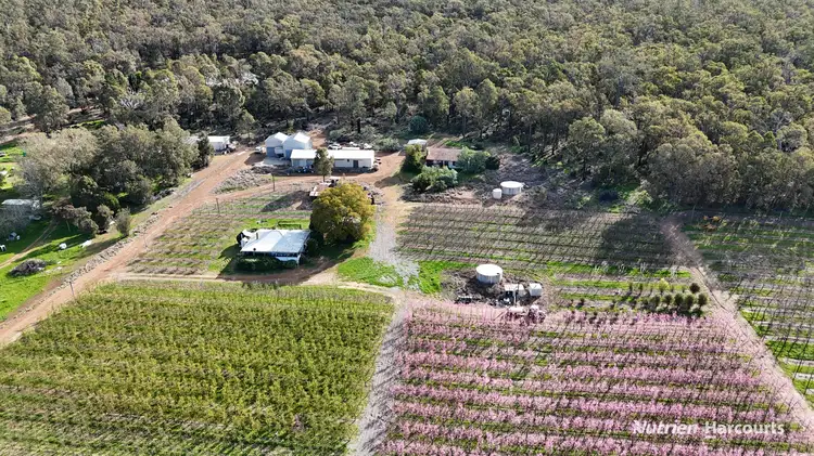 Fifth view of Homely rural property listing, 38 Elizabeth Place, Karragullen WA 6111