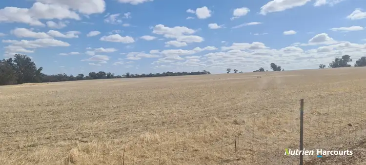 Second view of Homely rural property listing, 596 Coben Soak Road, Beaufort River WA 6394