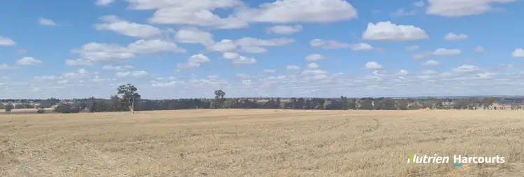 Fifth view of Homely rural property listing, 596 Coben Soak Road, Beaufort River WA 6394