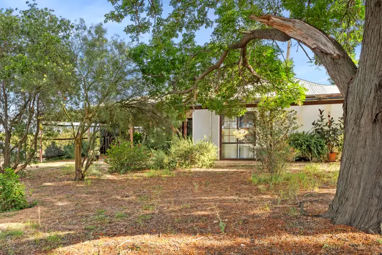 Main view of Homely house listing, 197 Culgoa Street, Renmark SA 5341