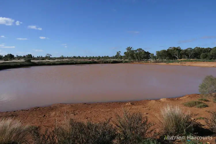 Third view of Homely rural property listing, Shearlegs/31780 Kidman Way, Nymagee NSW 2831