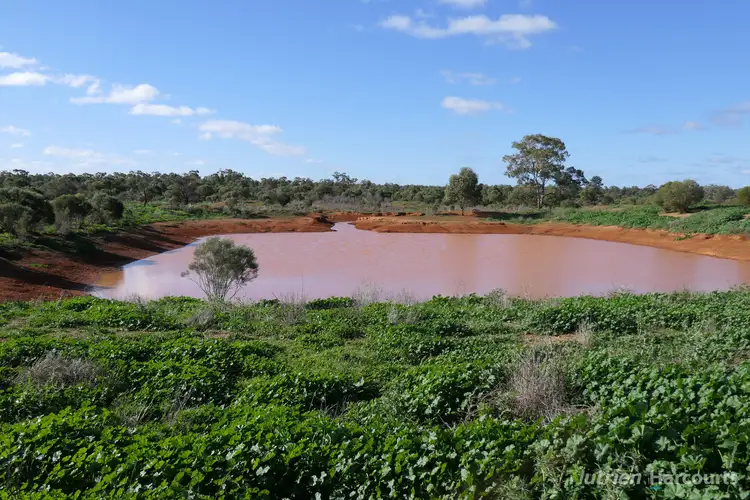 Fourth view of Homely rural property listing, Shearlegs/31780 Kidman Way, Nymagee NSW 2831