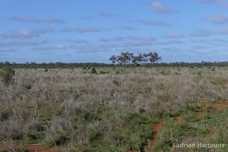 Fifth view of Homely rural property listing, Shearlegs/31780 Kidman Way, Nymagee NSW 2831