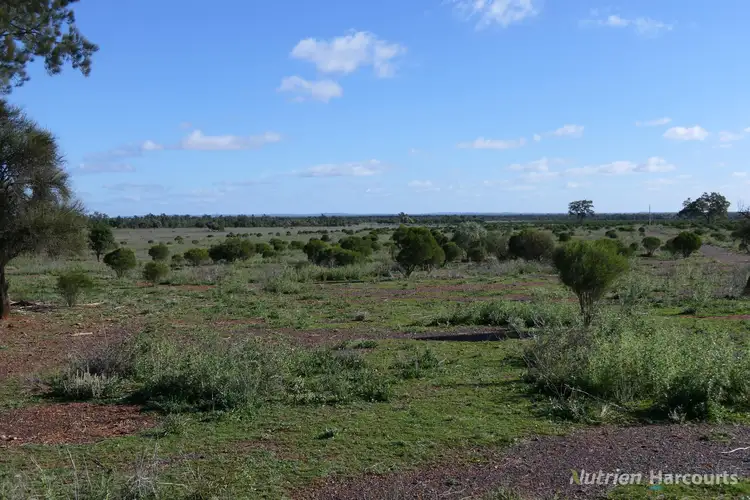 Seventh view of Homely rural property listing, Shearlegs/31780 Kidman Way, Nymagee NSW 2831