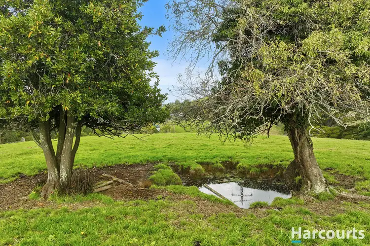 Fourth view of Homely rural property listing, Lot 1 Mountain View-McDonalds Track, Mountain View VIC 3988