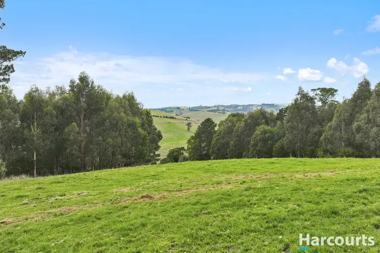 Fifth view of Homely rural property listing, Lot 1 Mountain View-McDonalds Track, Mountain View VIC 3988