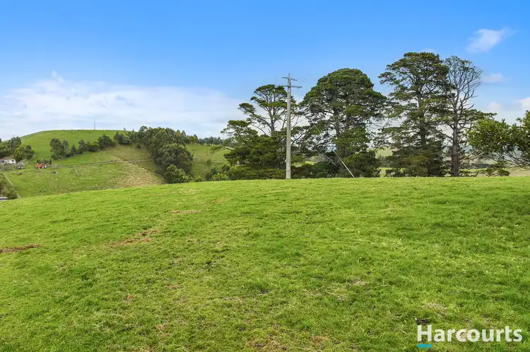 Sixth view of Homely rural property listing, Lot 1 Mountain View-McDonalds Track, Mountain View VIC 3988