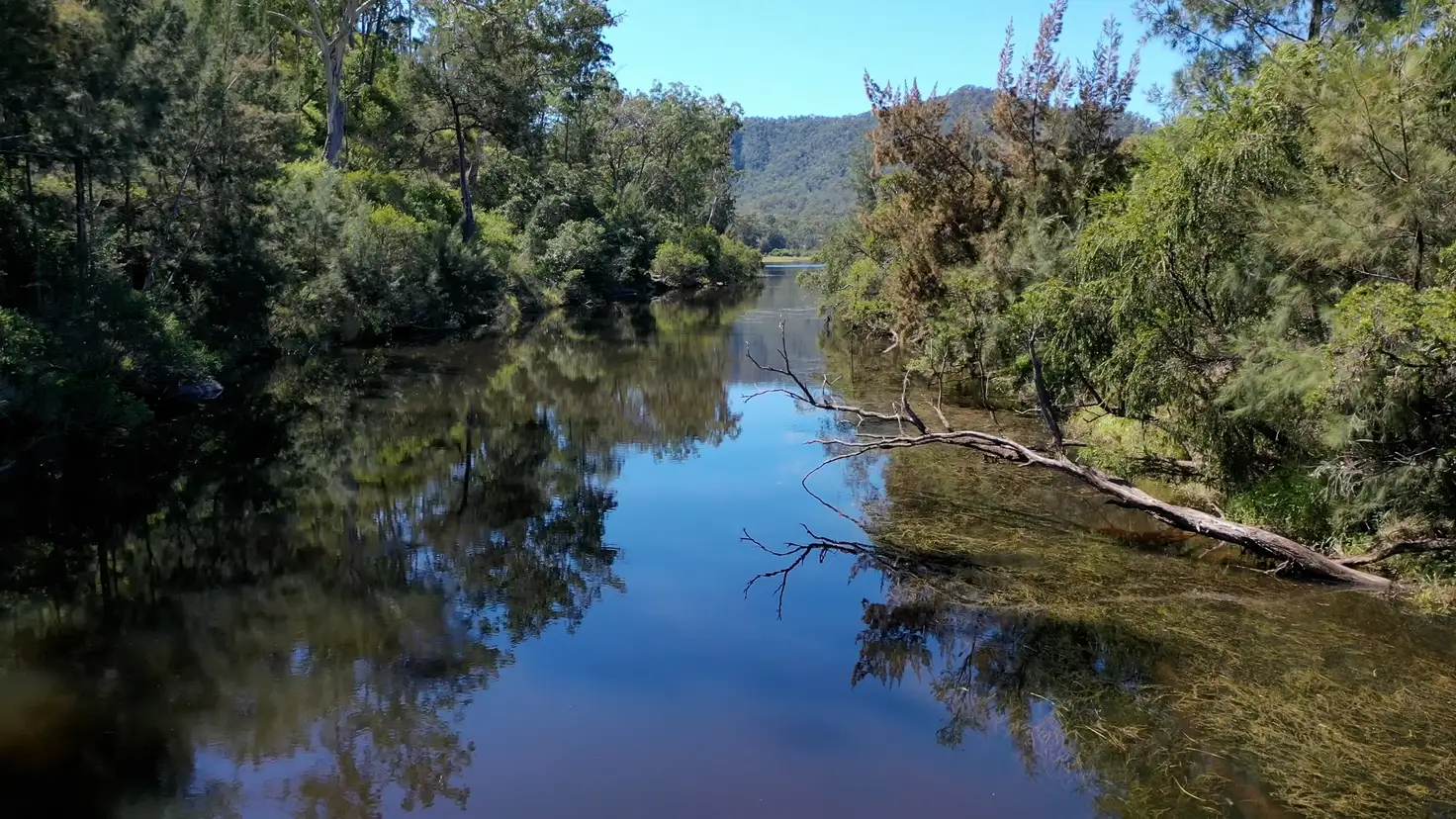 Main view of Homely rural property listing, 23 Rivertree Road, Tenterfield NSW 2372