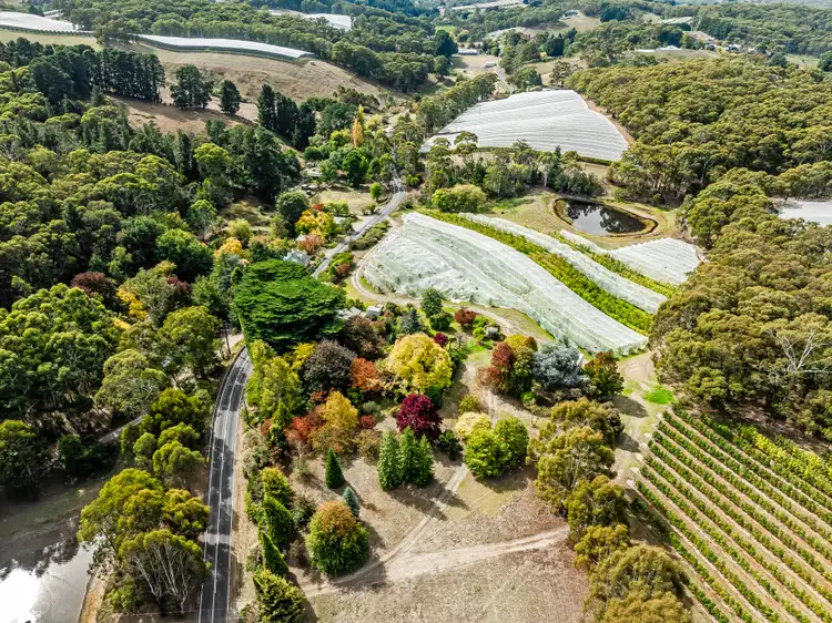 Third view of Homely house listing, 1194 Lobethal Road, Forest Range SA 5139