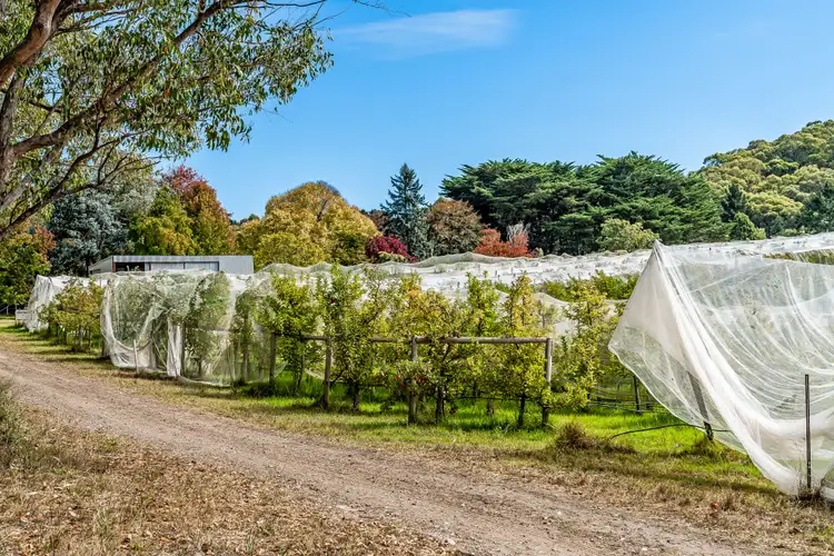 Fourth view of Homely house listing, 1194 Lobethal Road, Forest Range SA 5139