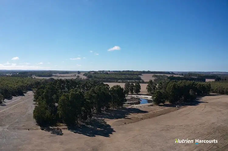 Second view of Homely rural property listing, 241 Pindicup Road, Mordalup WA 6258