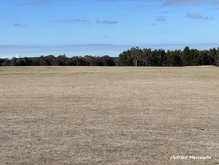 Seventh view of Homely rural property listing, 241 Pindicup Road, Mordalup WA 6258