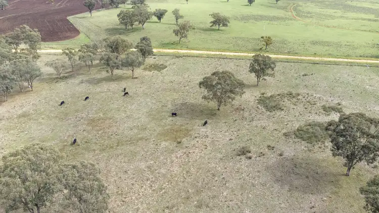 Second view of Homely rural property listing, 980 Flight Springs Rd, Merriwa NSW 2329