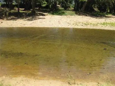 Seventh view of Homely rural property listing, 1256 Tully Gorge Road, Jarra Creek QLD 4854