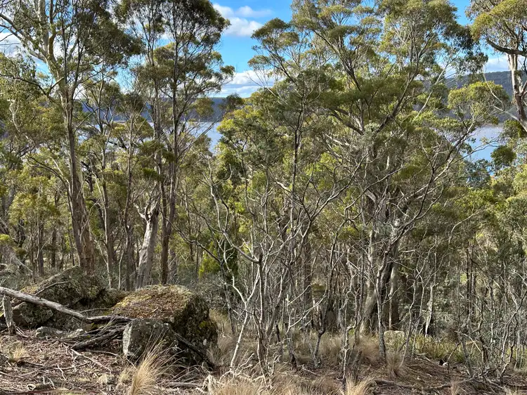 Main view of Homely rural property listing, 46 Little Spit Road, Lake Leake TAS 7210