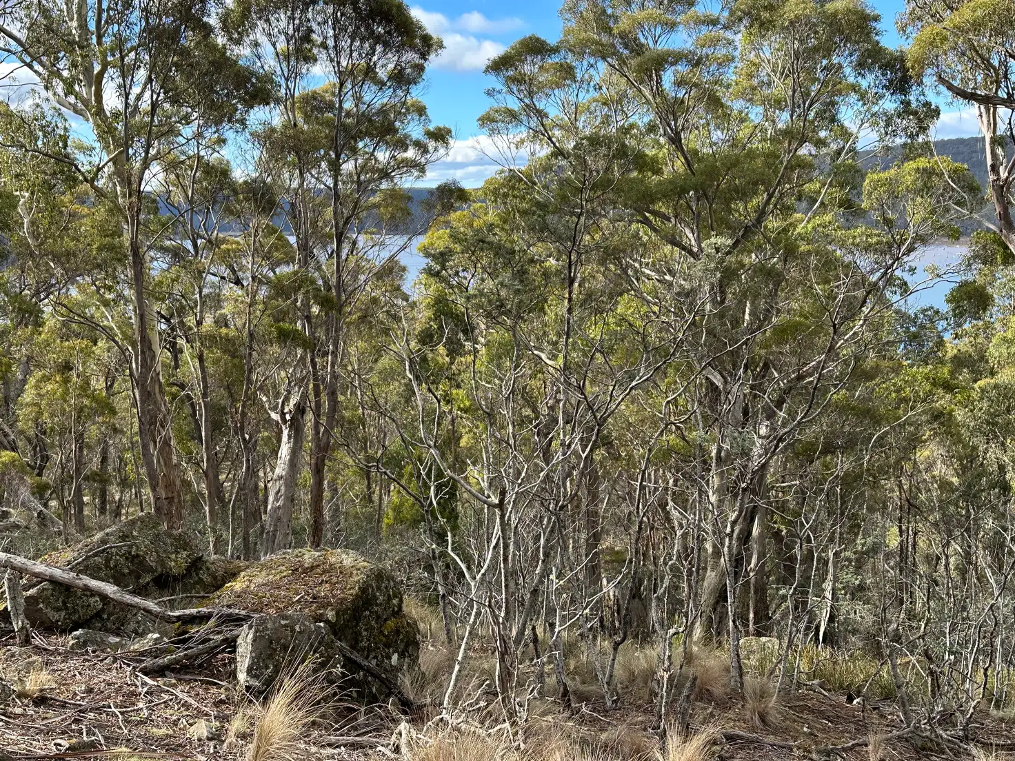 Main view of Homely rural property listing, 46 Little Spit Road, Lake Leake TAS 7210