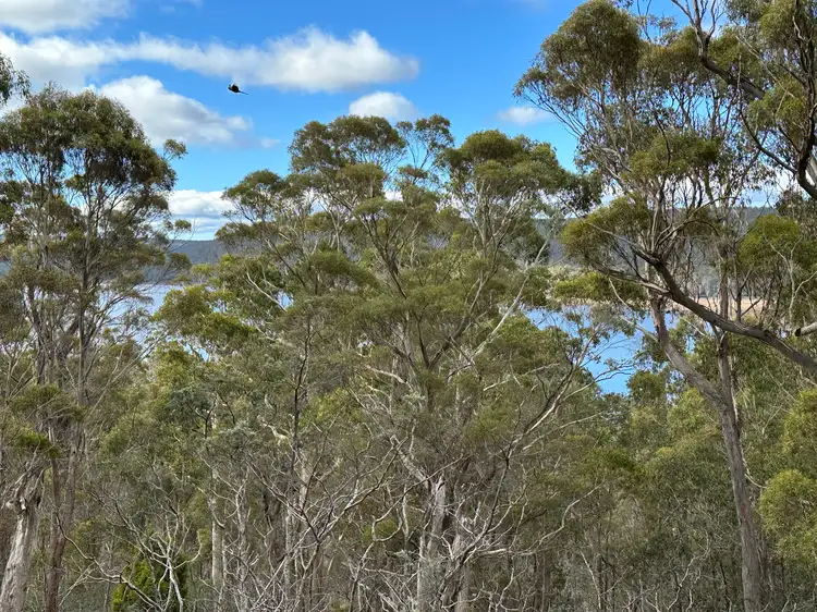 Second view of Homely rural property listing, 46 Little Spit Road, Lake Leake TAS 7210