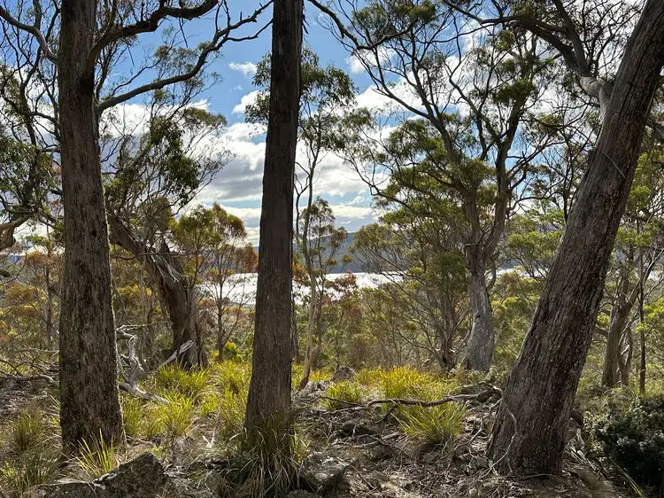 Third view of Homely rural property listing, 46 Little Spit Road, Lake Leake TAS 7210