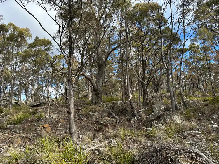 Fifth view of Homely rural property listing, 46 Little Spit Road, Lake Leake TAS 7210